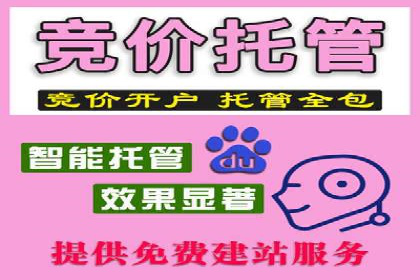 百度推广的精准定向技术案例